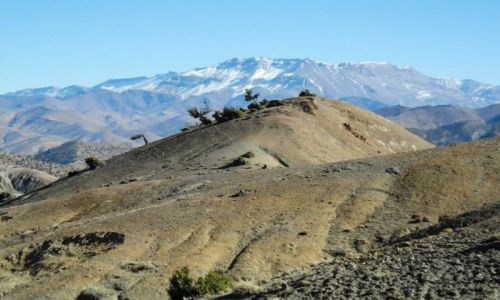 Zdjcie MAROKO /  gdzies miedzy ouarzazate a demnate / atlas / atlas