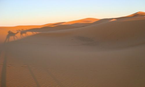 Zdjecie MAROKO / - / Merzouga desert / Cienie na wydmach