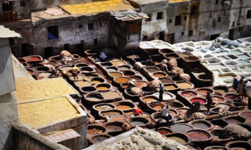 Zdjecie MAROKO / Fez / Fez / Konkurs - 