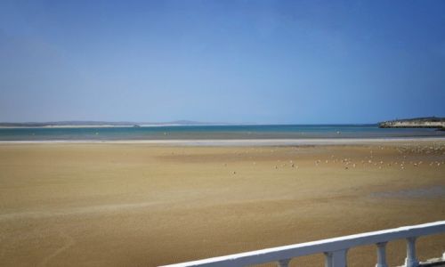 Zdjecie MAROKO / Essaouira / Essaouira / Konkurs - 