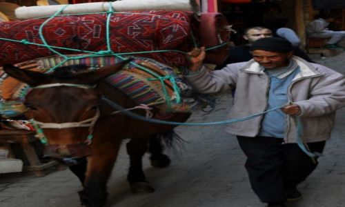 Zdjecie MAROKO / fes / fes / Pan z osiolkiem