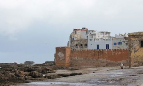 Zdjcie MAROKO / Essaiura / wybrzee / Essauira