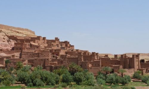 Zdjecie MAROKO / Ouarzazate / Ouarzazate / Zycie w Maroko