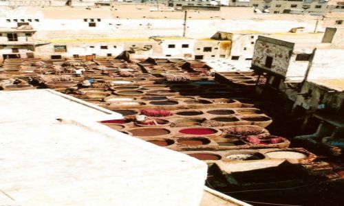 Zdj�cie MAROKO / Fez / Medyna w Fezie / Garbarnia w Fezie