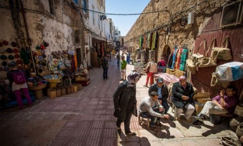 Zdjecie MAROKO / Essaouira / Essaouira / Zau�ki Essaouiry_1