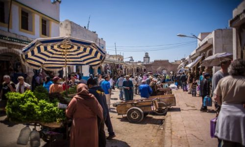 Zdjecie MAROKO / Essaouira / Essaouira / Zauki Essaouiry_3
