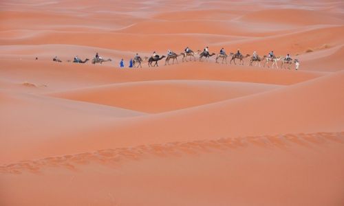 Zdjecie MAROKO / Poudnie / Erg Chebbi / Karawana