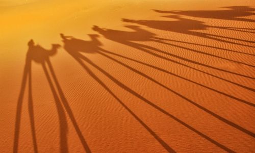 Zdjecie MAROKO / Poudnie / Erg Chebbi / Karawana Cieni