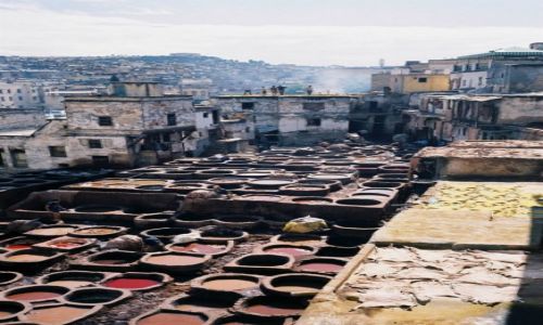 Zdjecie MAROKO / Fez / Medina / garbarnia w Fezie
