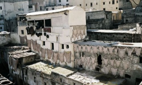 Zdjecie MAROKO / Fez / Medina / garbarnia w Fezie