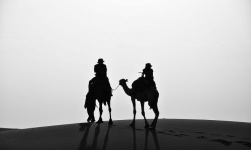 Zdjecie MAROKO / Poudnie / Erg Chebbi / Podajc za socem 