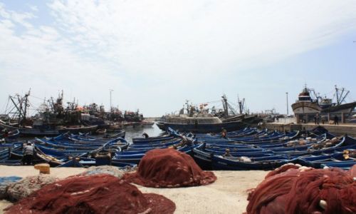 Zdjecie MAROKO / - / ESSAOUIRA / PORT RYBACKI