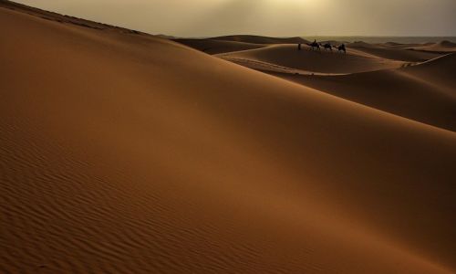 Zdjecie MAROKO / Poudnie / Erg Chebbi / Pikno pustyni