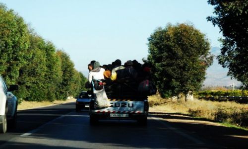 Zdjcie MAROKO / sredni Atlas / sredni Atlas / w drodze do Ifrane