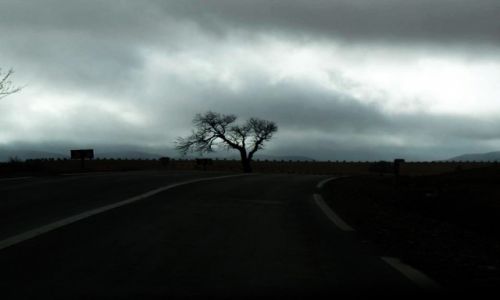 Zdjcie MAROKO / wszedzie / wszedzie / do Figuig