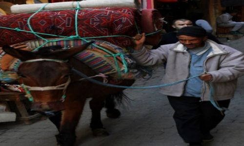 Zdjęcie MAROKO / fes / fes / pan z osiolkiem