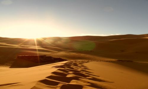 Zdjcie MAROKO / Meknes-Tafilalet / Merzouga / Sahara