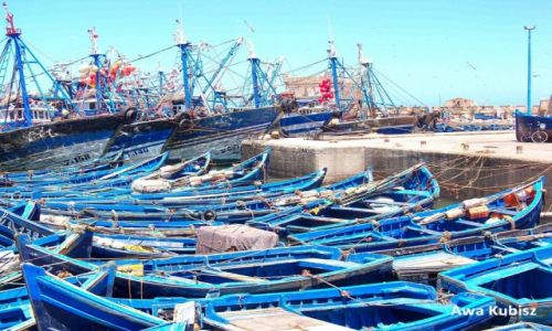 Zdjcie MAROKO / Poudnie / Miasto Essaouira / Maroko - Essaouira - port rybacki - 1