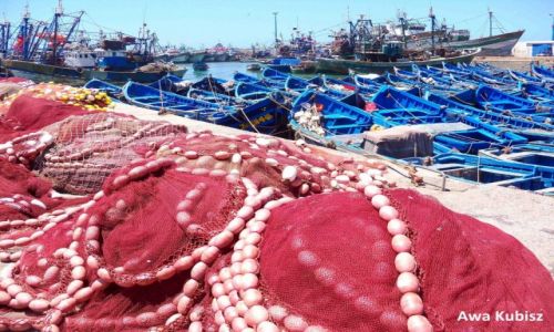 Zdjecie MAROKO / Poudnie / Essaouira / Essaouira - port rybacki