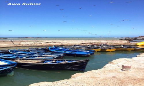 Zdjcie MAROKO / Poudnie / Miasto Essaouira / Essaouira - port rybacki