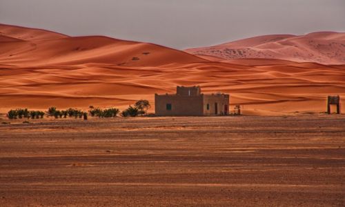 Zdjecie MAROKO / - / Sahara / Sahara
