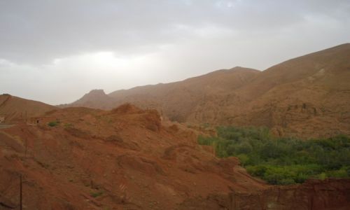 Zdjęcie MAROKO / MIĘDZY OUARZATE A MERZOUGĄ / W DRODZE NA SAHARĘ  / KRAJOBRAZ PUSTYNNY