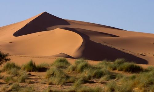Zdjecie MAROKO / Erg Chebbi / Erg Chebbi / Wydma