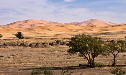 Zdjecie MAROKO / poudnie / erg Chebbi / Wydmy o poranku