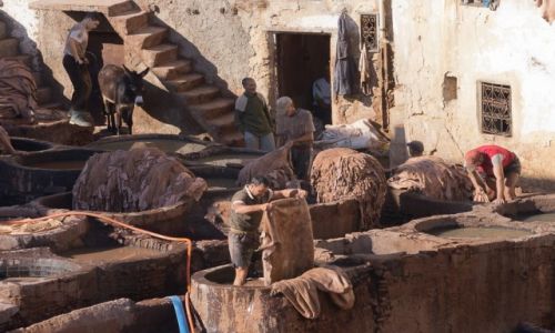 Zdjęcie MAROKO / Fes / Fes / Farbowanie skór