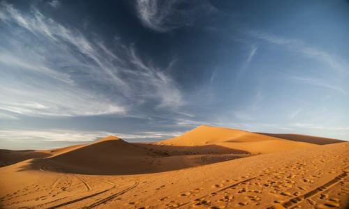 Zdjecie MAROKO / Merzouga / Merzouga / pustynia