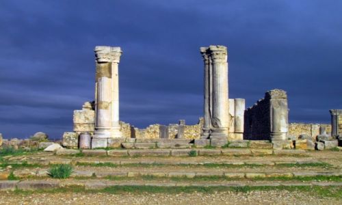 Zdjcie MAROKO / Meknes / Volubilis / Ruiny rzymskiego miasta