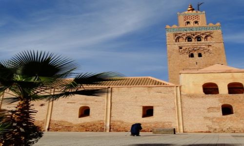 Zdjecie MAROKO / Marrakesz / Park przy Meczecie Kotubijja  / Meczet Kotubijja