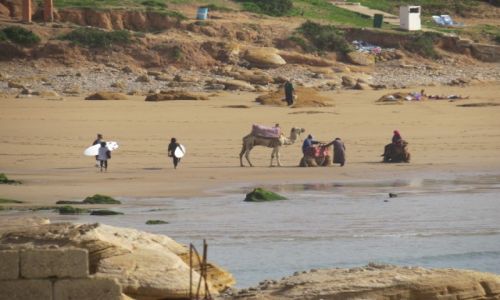 Zdjecie MAROKO / Taghazout / Taghazout / Surferzy i wielbdy w Taghazout