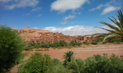 Zdjęcie MAROKO / - / Warzzazat / Twierdza Warzz