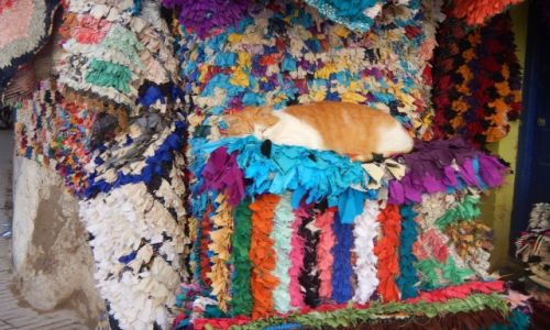 Zdjecie MAROKO / - / Essaouira / Tkaninowiec 