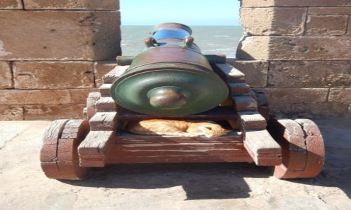 Zdjecie MAROKO / - / Essaouira / Armatowiec