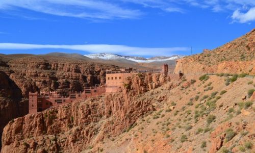 Zdjcie MAROKO / Sus Massa Dara / Dades / Dom na skale