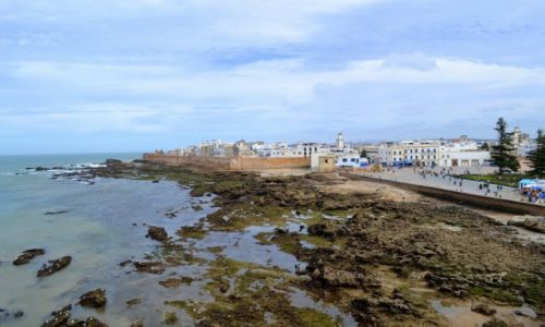 Zdjcie MAROKO / Essaouira / Essaouira / Miejscowy klasyk
