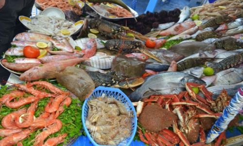 Zdjecie MAROKO / Essaouira / Essaouira / Festiwal delicji