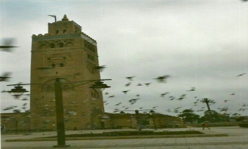 Zdjcie MAROKO / Wysoki Atlas / Marakesz / Meczet Koutoubia
