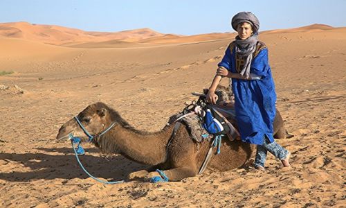Zdjcie MAROKO / Erfoud / Erg Chebbi / W oczekiwaniu