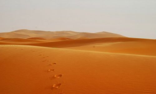 Zdjecie MAROKO / Pd / Sahara / Tam musi by cywilizacja