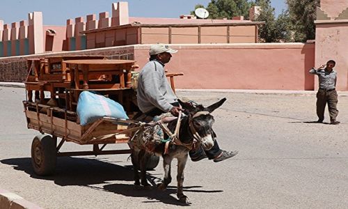 Zdjęcie MAROKO / Atlas Wysoki / Taroudant / Życie ulicy