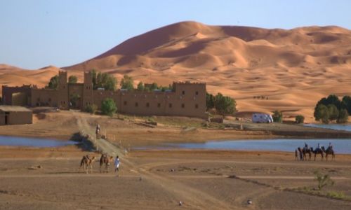 Zdjcie MAROKO / Tafilalet / Erg Chebbi / Nad jeziorem Lac Dayet Srij 