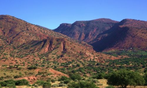 Zdjcie MAROKO / Sus-Massa-Dara / W drodze do Agadir / Anty Atlas