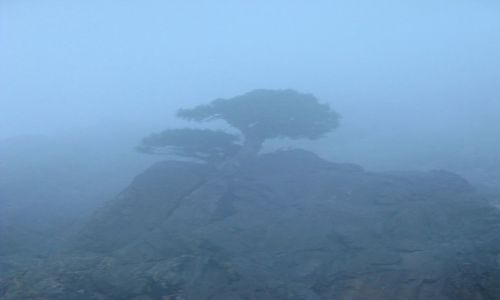 Zdjecie MAROKO / atlas wysoki / tubkal / jeden dzie na tubkalu
