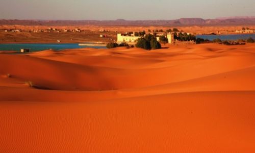 Zdjcie MAROKO / Tafilalet / Erg Chebbi / Oaza