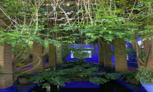 Zdjęcie MAROKO / Marrakesz / Ogrody Majorell / Oaza w mieście