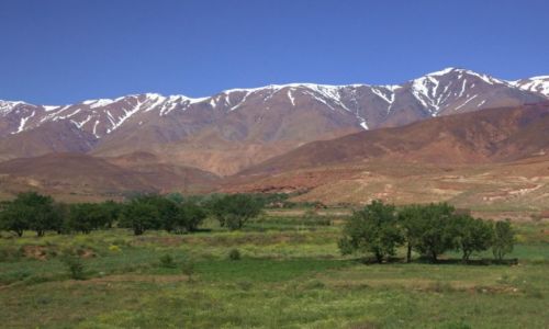 Zdjcie MAROKO / Maroko Poudniowe / W drodze do Agadir / Troch zimy