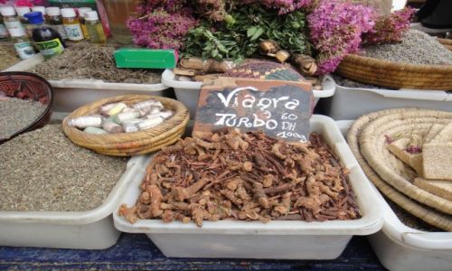 Zdjęcie MAROKO / . / Essaoira / Viagra ;)
